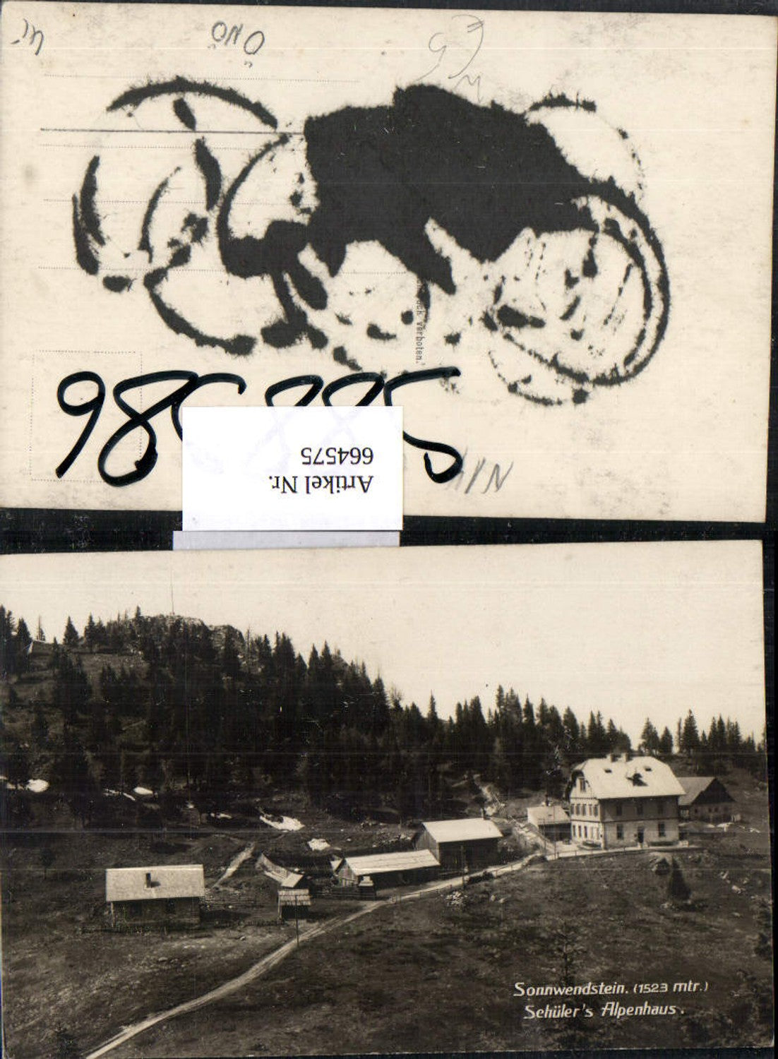 664575,Foto Ak Sonnwendstein Schülers Alpenhaus Semmering