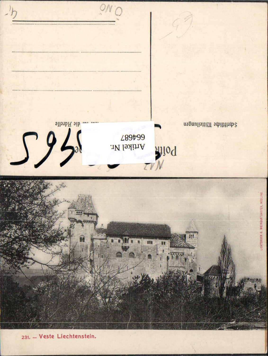 664687,Veste Burg Liechtenstein Maria Enzersdorf