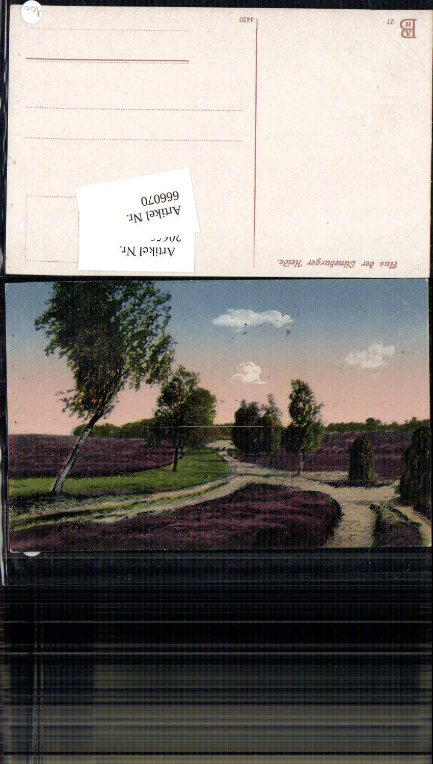 666070,Lüneburger Heide Landschaft