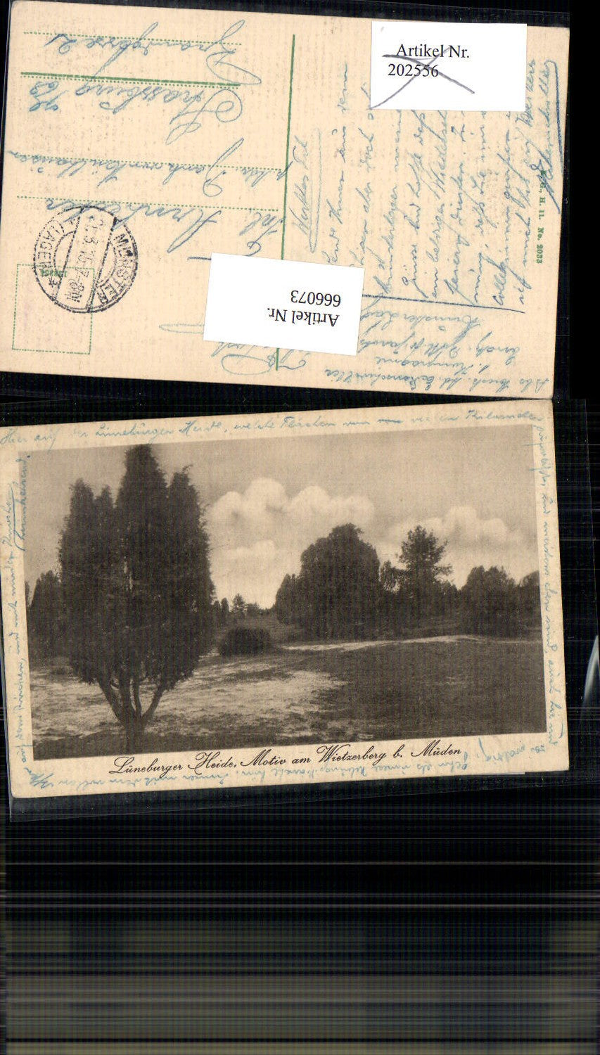 666073,Lüneburger Heide Motiv Wietzerberg b. Müden
