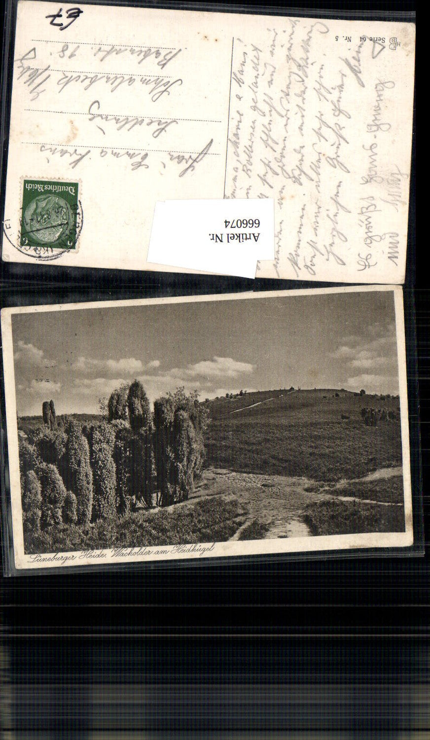 666074,Lüneburger Heide Wacholder Heidkügel