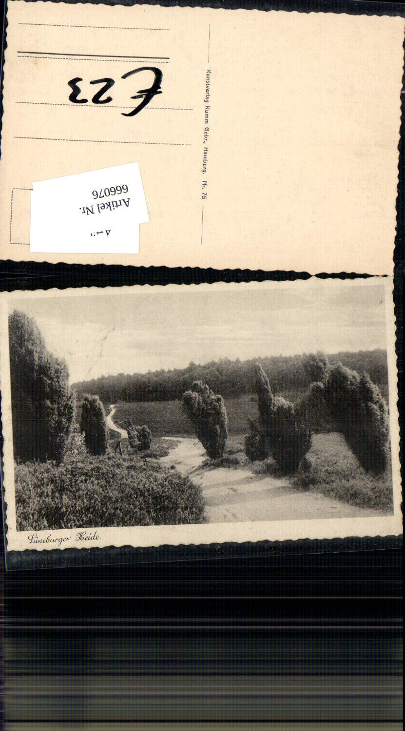 666076,Lüneburger Heide Motiv