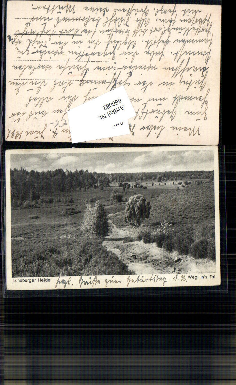 666082,Lüneburger Heide Weg ins Tal