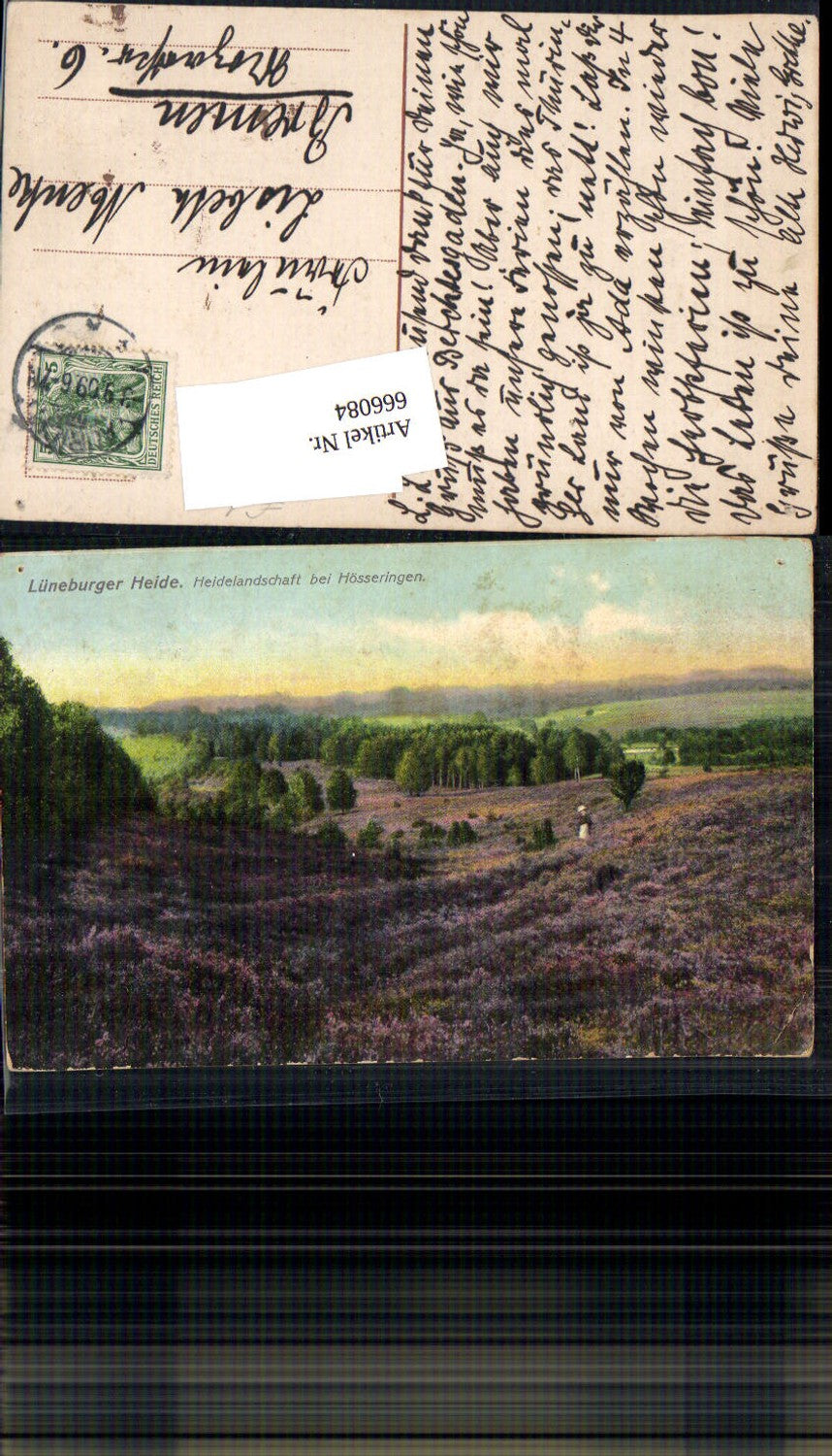 666084,Lüneburger Heide Hösseringen