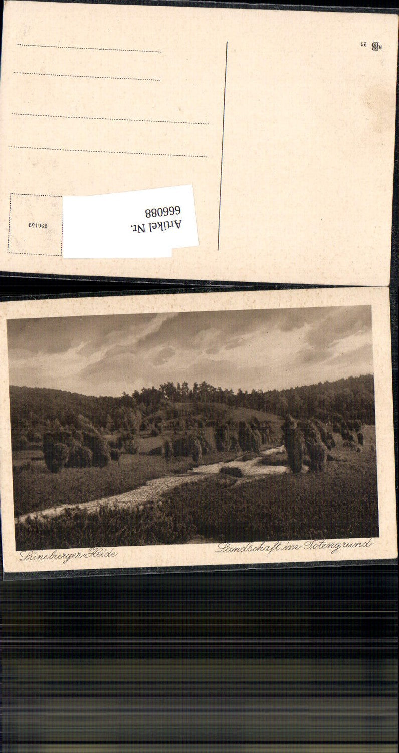 666088,Lüneburger Heide Totengrund Wilsede