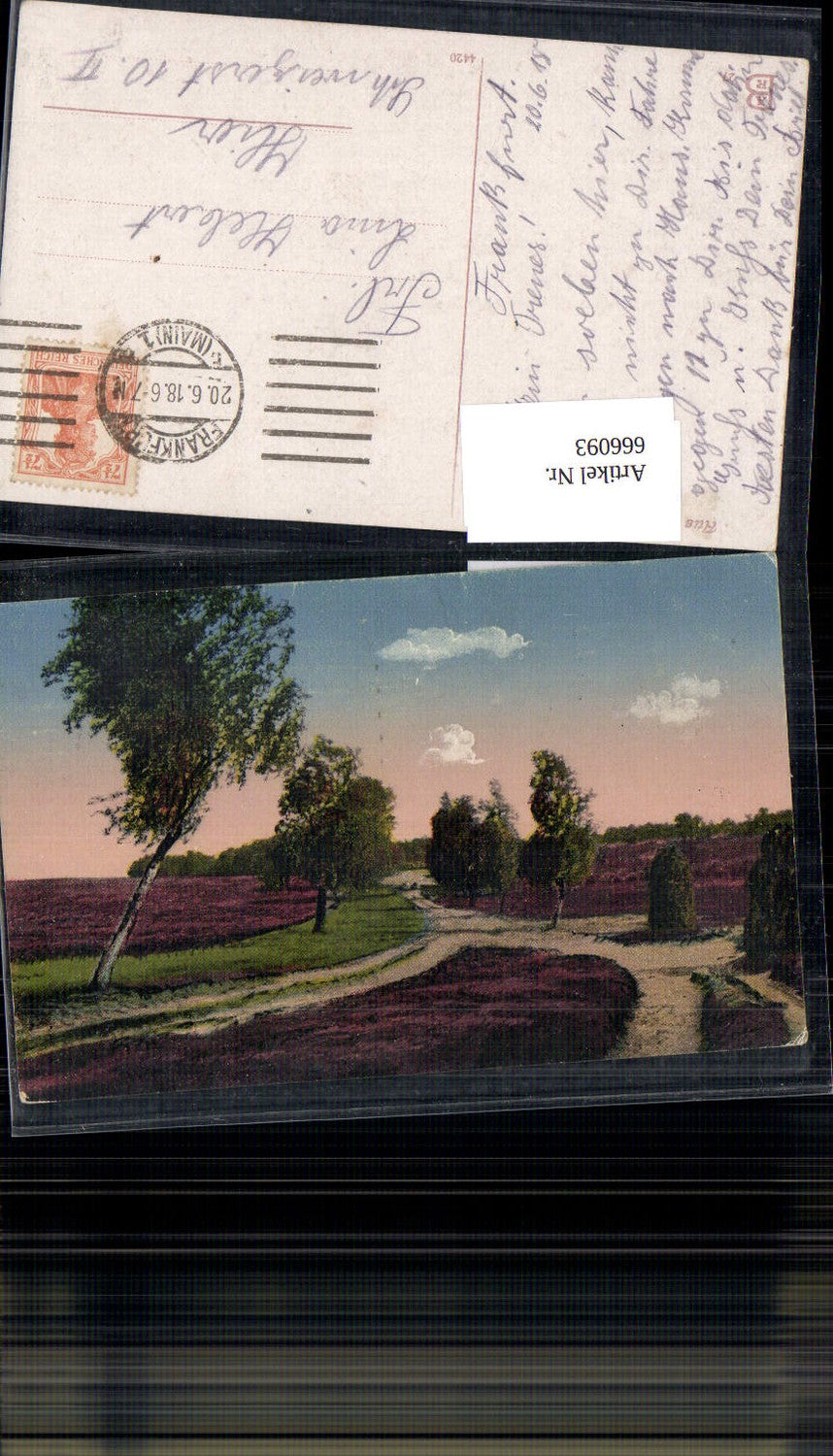 666093,Lüneburger Heide Motiv