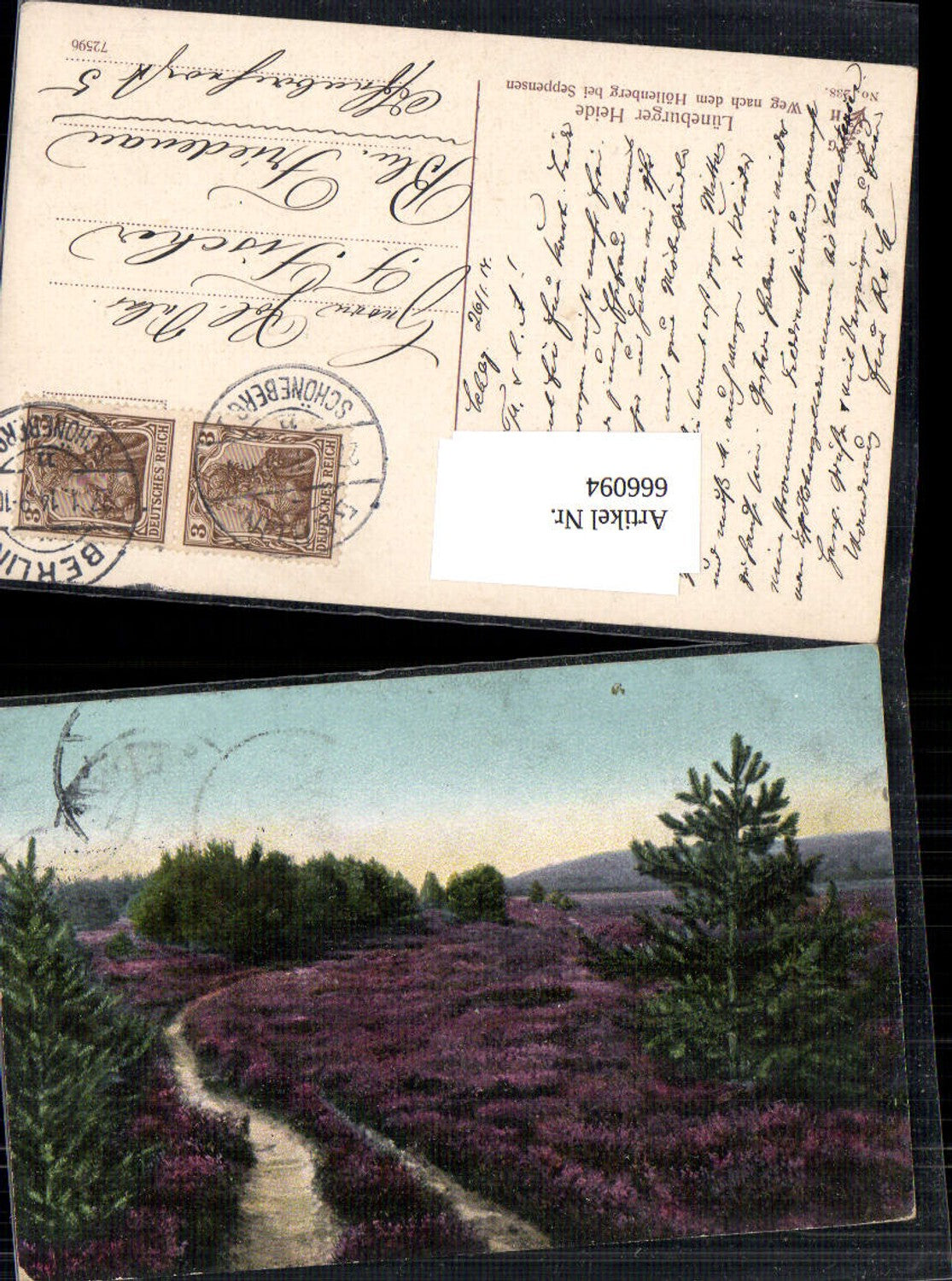 666094,Lüneburger Heide bei Höllenberg Seppensen Weg