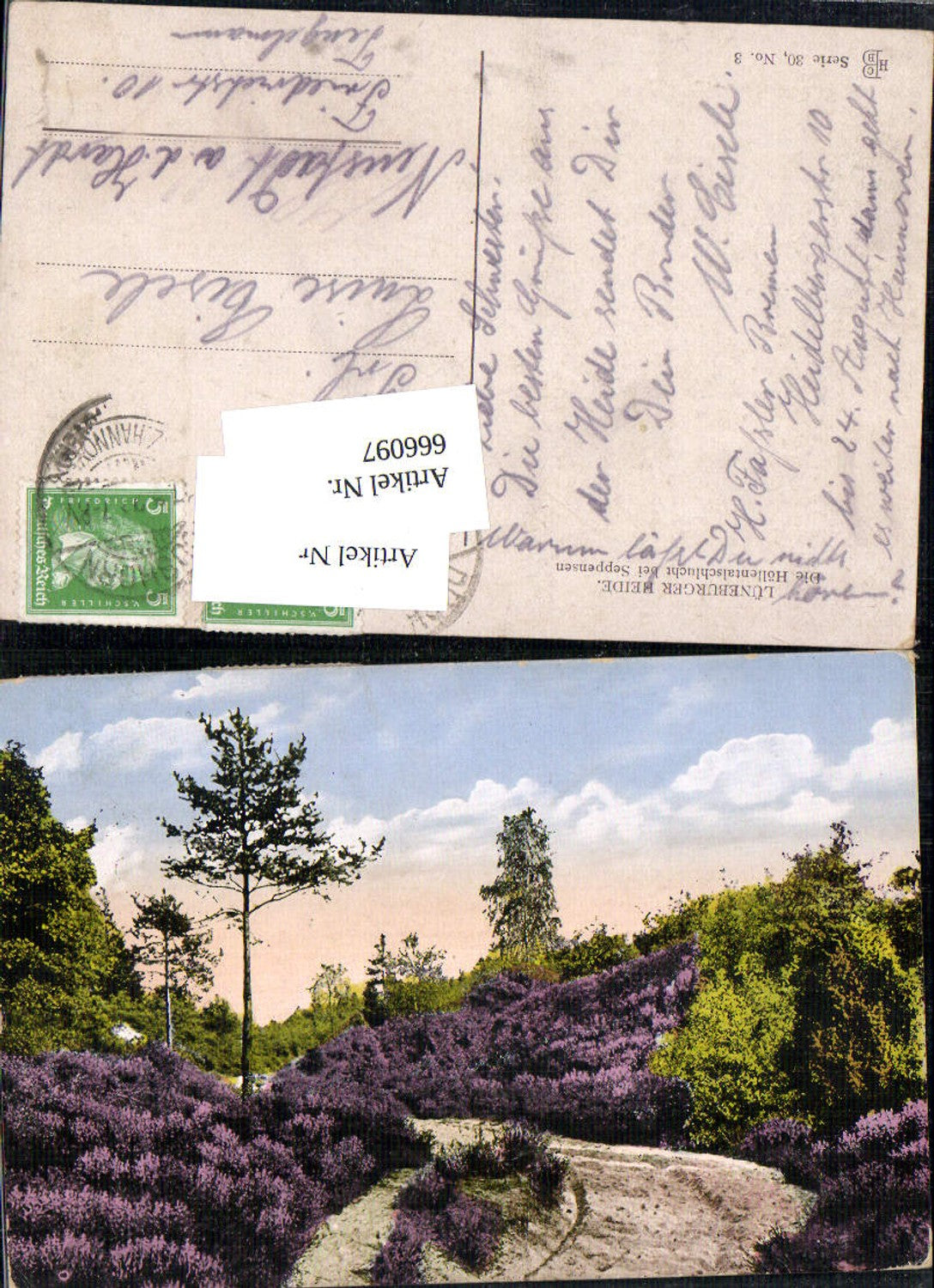 666097,Lüneburger Heide Höllentalschlucht bei Seppensen