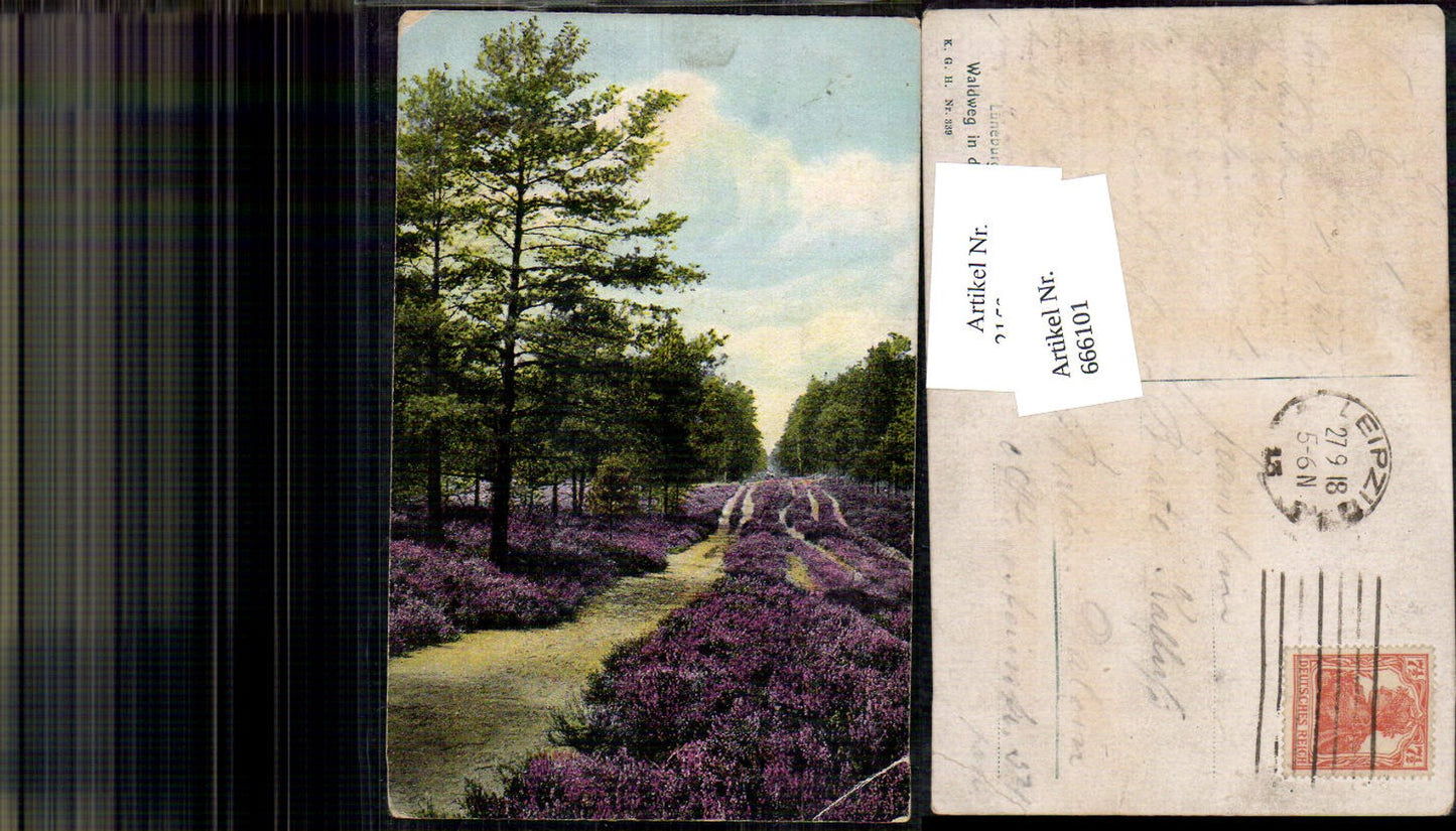 666101,Lüneburger Heide Waldweg in den Lohbergen