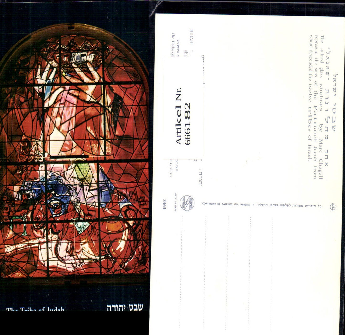 666182,Judah The Tribe of Judah Fenster Stained glass window Israel