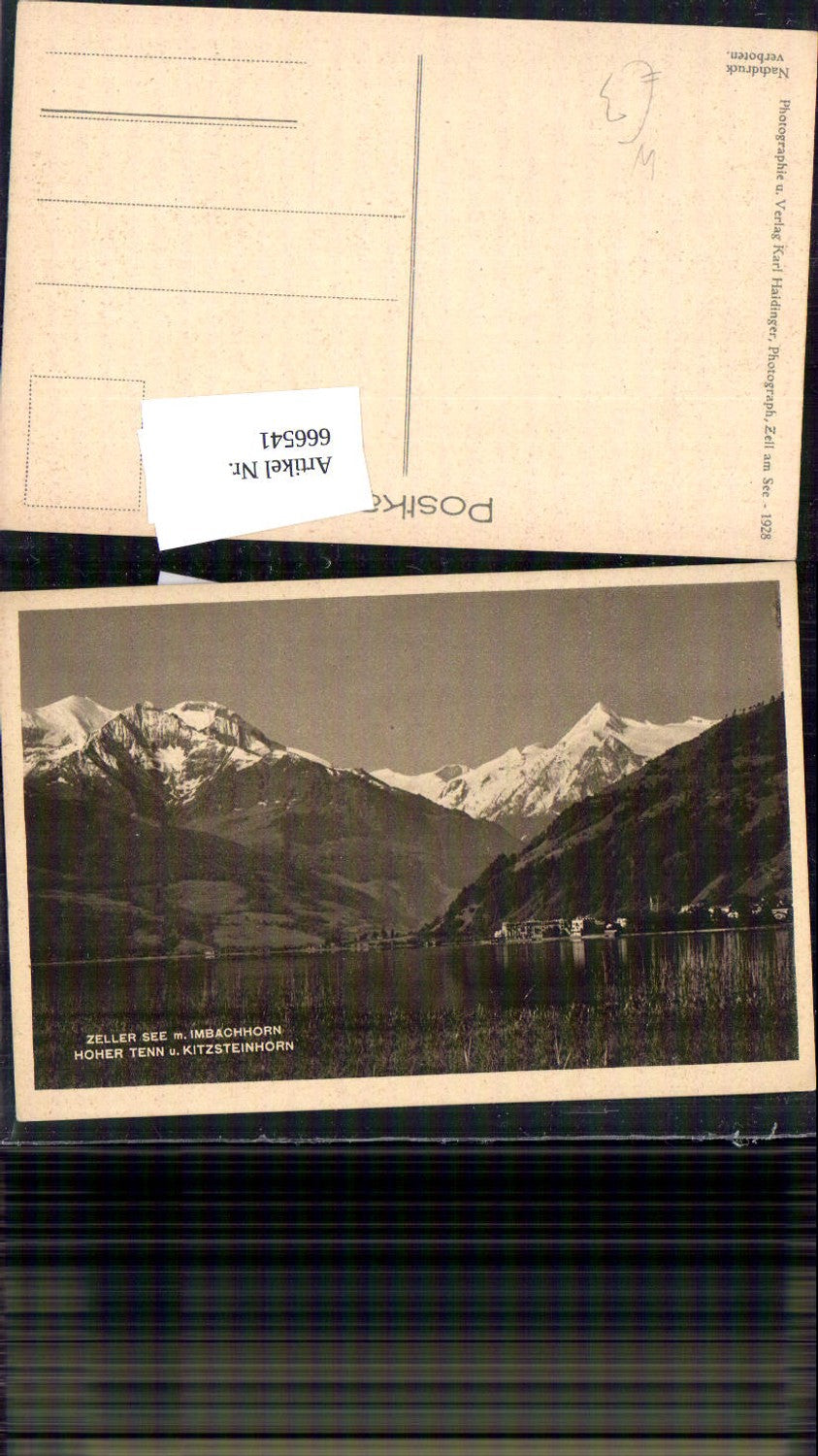 666541,Zell am See Zeller See Imbachhorn Hoher Tern u. Kitzsteinhorn