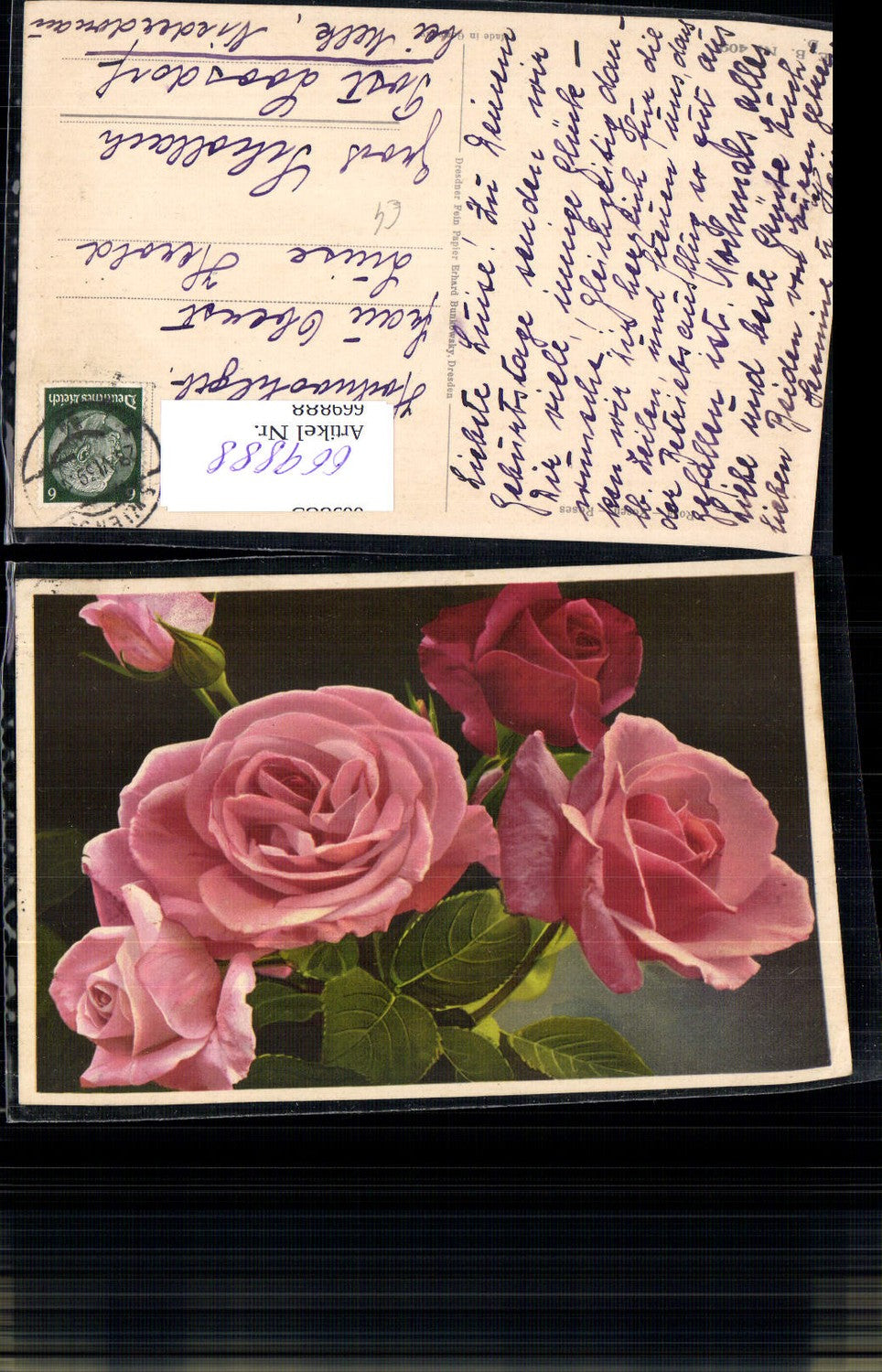 669888, Pink Roses Flowers Flora