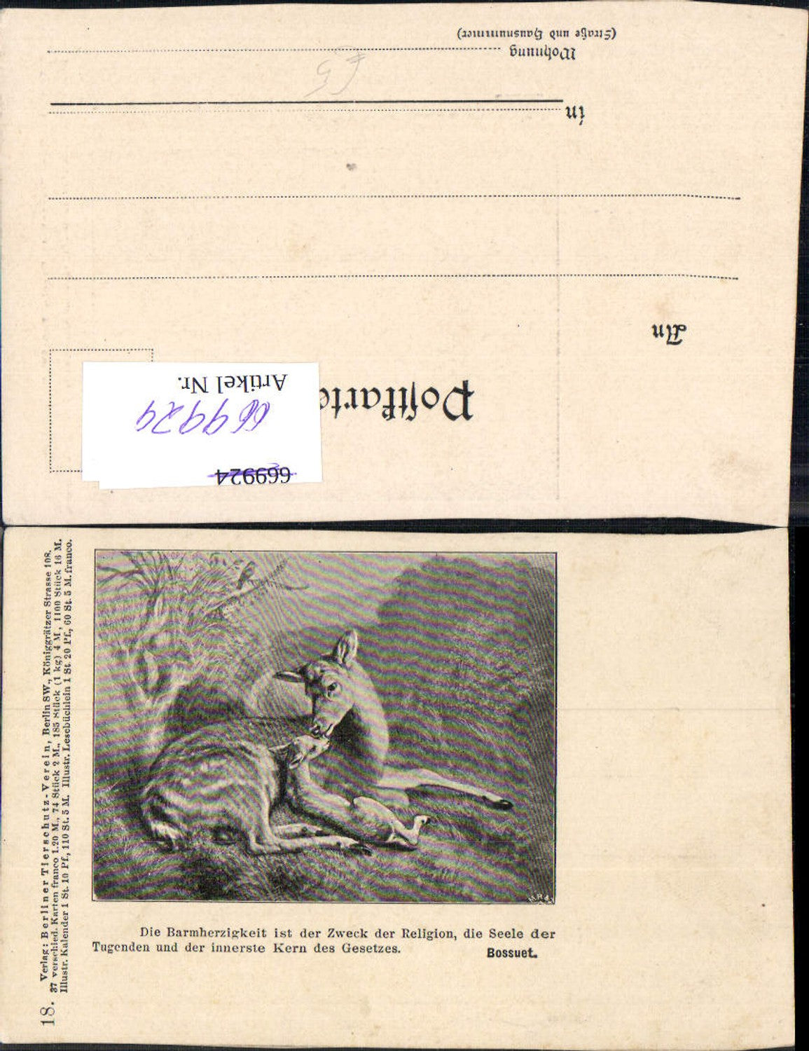 669929,Tiere Rehe Wild Kitz Berliner Tierschutzverein Kalender Nr. 18