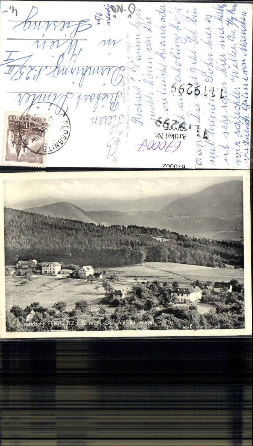 670007,Foto Ak Prigglitz Auf der Wiese