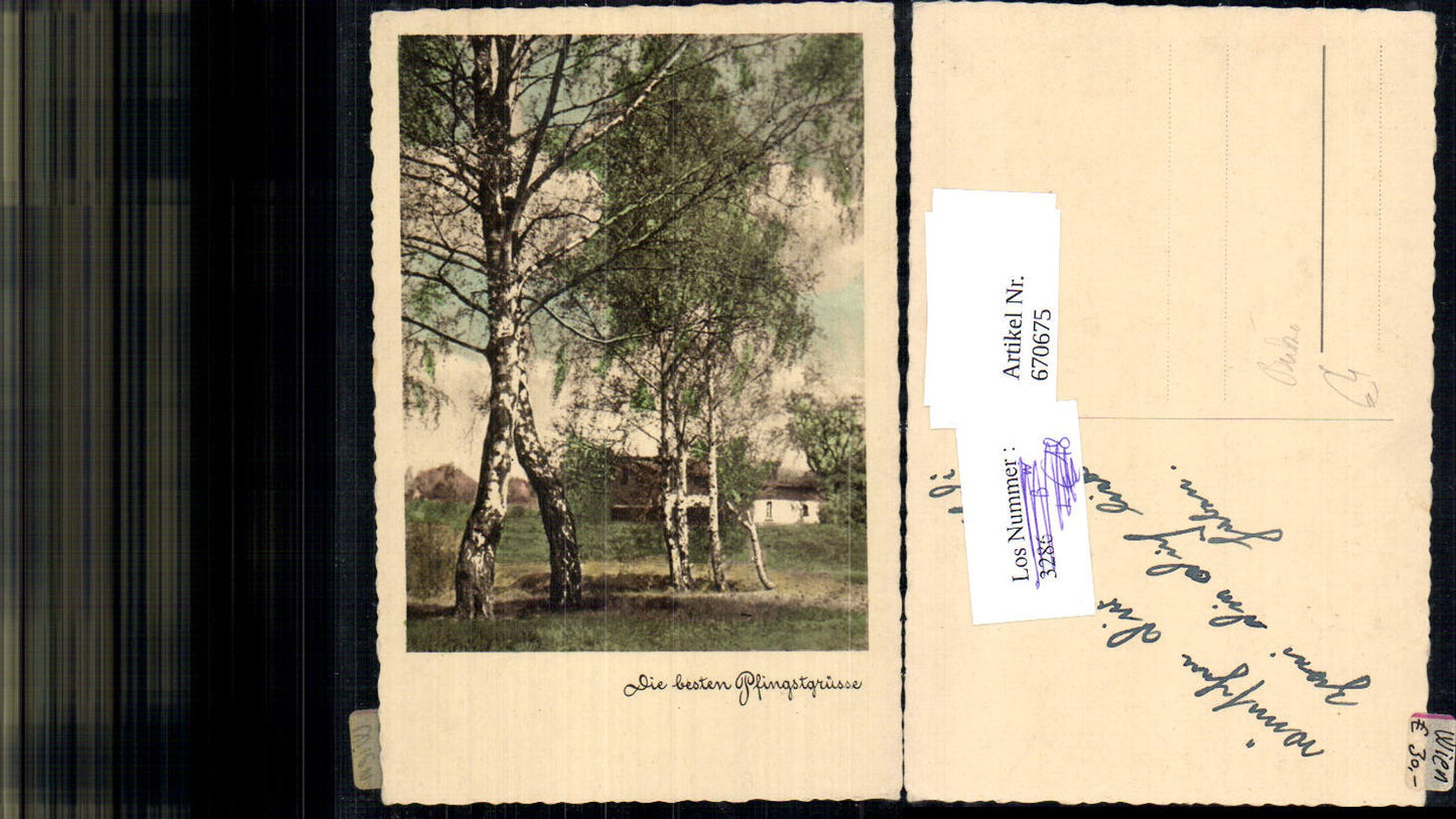 670675,Baum Birken Wald Landschaft Pfingsten