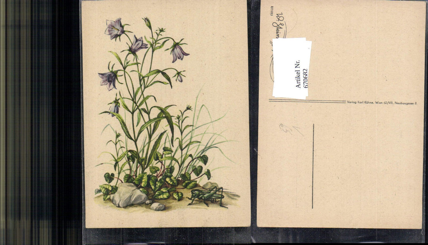 670682,Künstler Ak W. Steinhäusser Karte Glockenblume Grashüpfer Blume pub Kühne