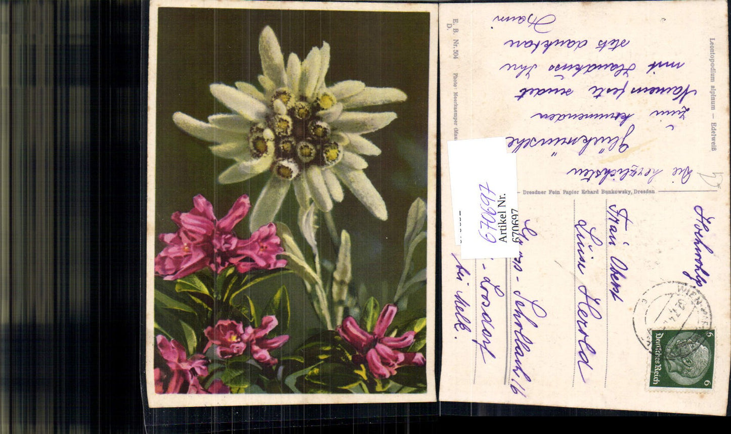670697,Edelweiß Alpenflora Blumen Vegetation