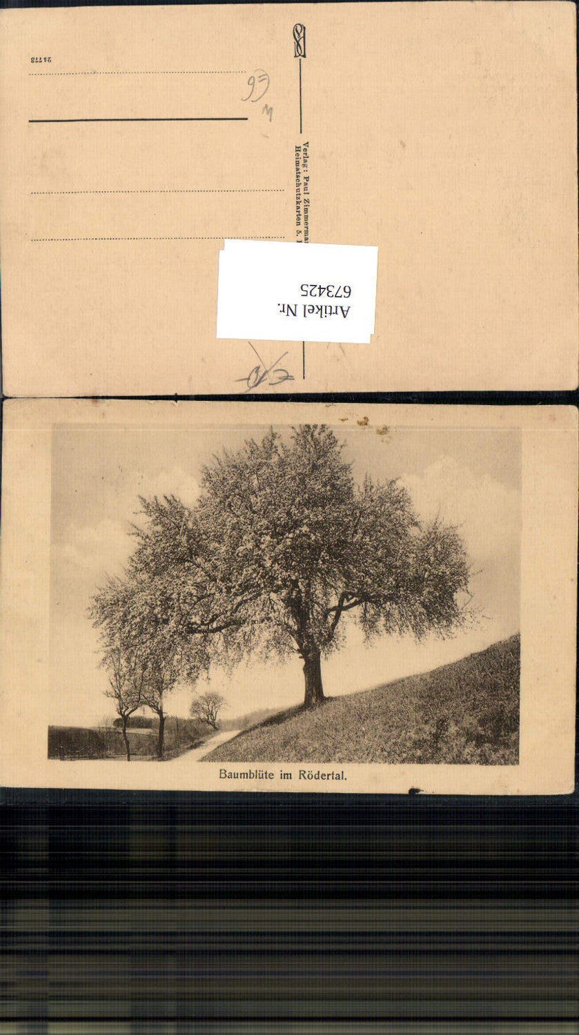 673425,Baumblüte im Rödertal Großröhrsdorf