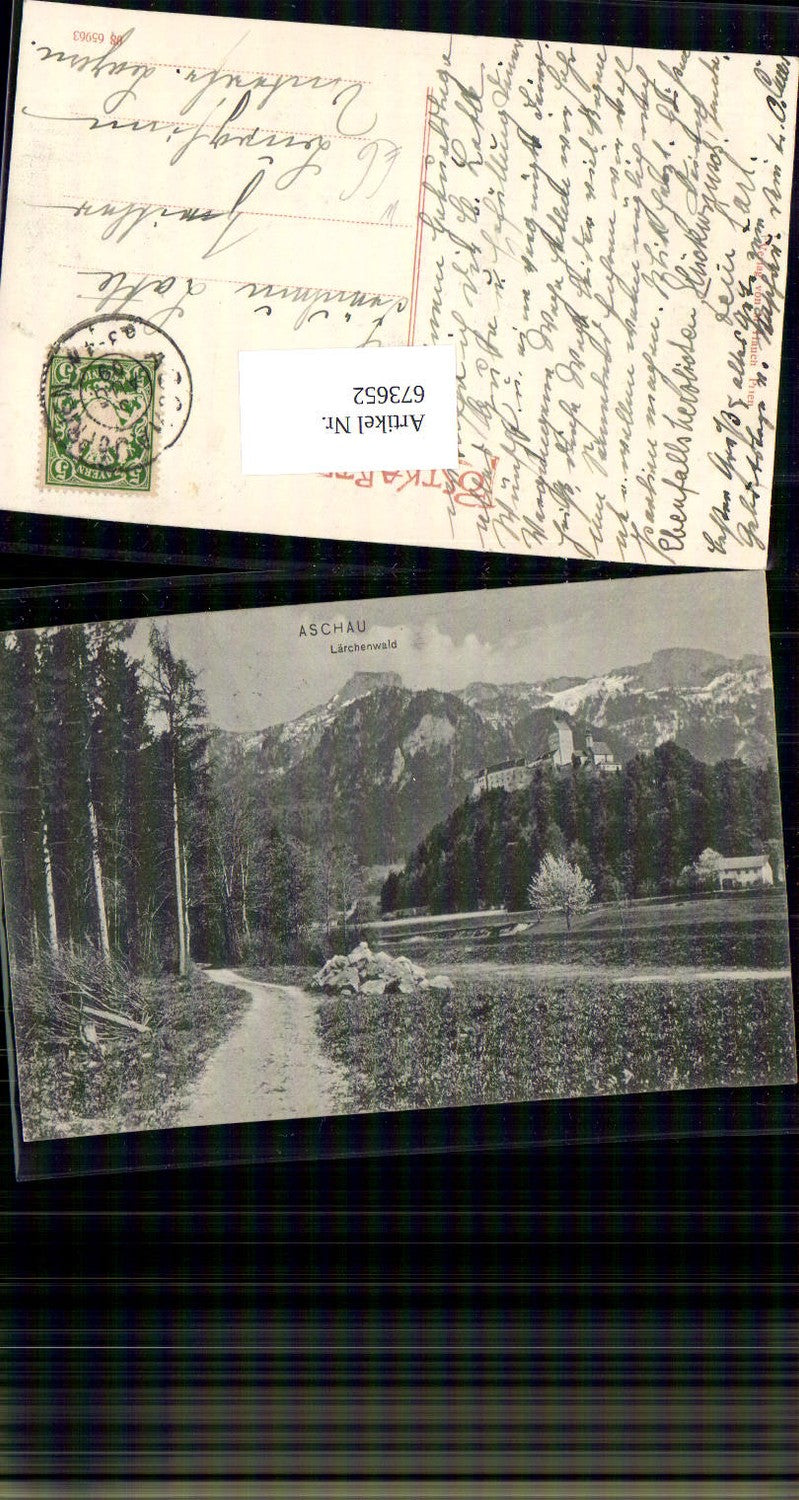 673652,Hohenaschau Aschau im Chiemgau Lärchenwald LK Rosenheim