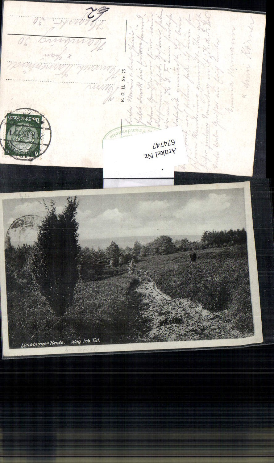 674747,Lüneburger Heide Weg ins Tal