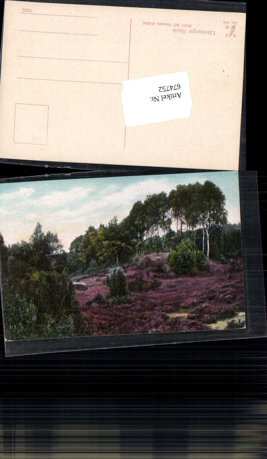 674752,Lüneburger Heide Motiv bei Garssen Celle