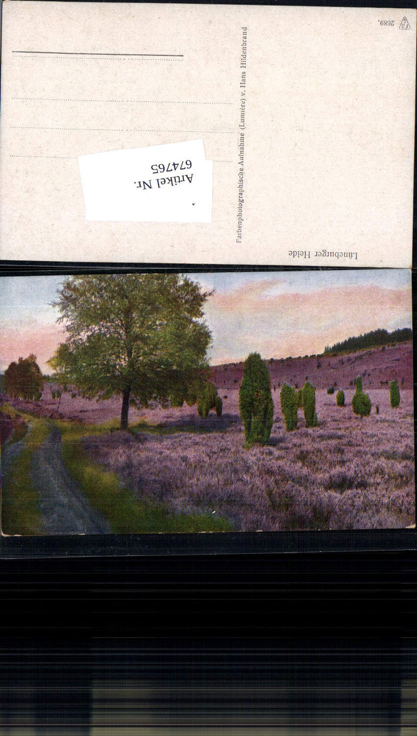 674765,Lüneburger Heide