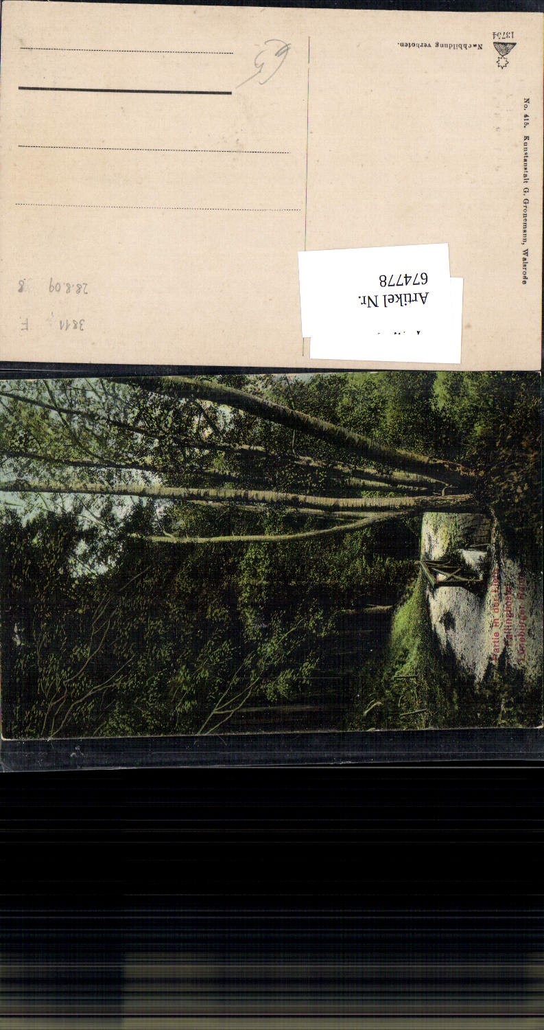 674778,Lüneburger Heide Fallingbostel Partie in der Lieth