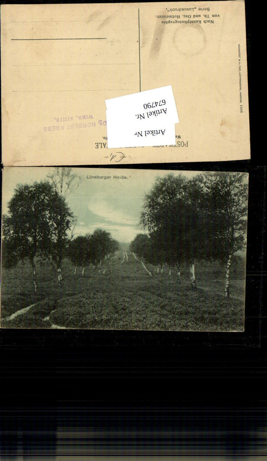 674790,Lüneburger Heide Kunstphotographie v. Th. u. Oscar Hofmeister Luxusdruck