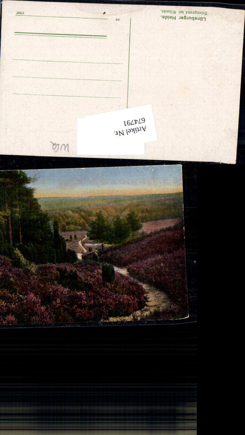 674791,Lüneburger Heide Totengrund Wilsede