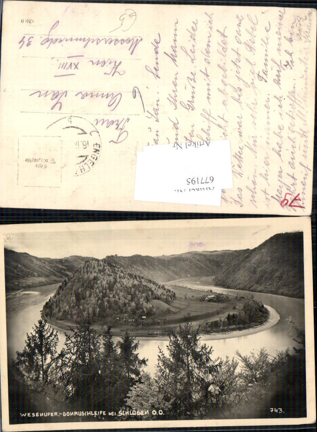 677195, Wesenufer an der Donau Schlögen Donauschleife