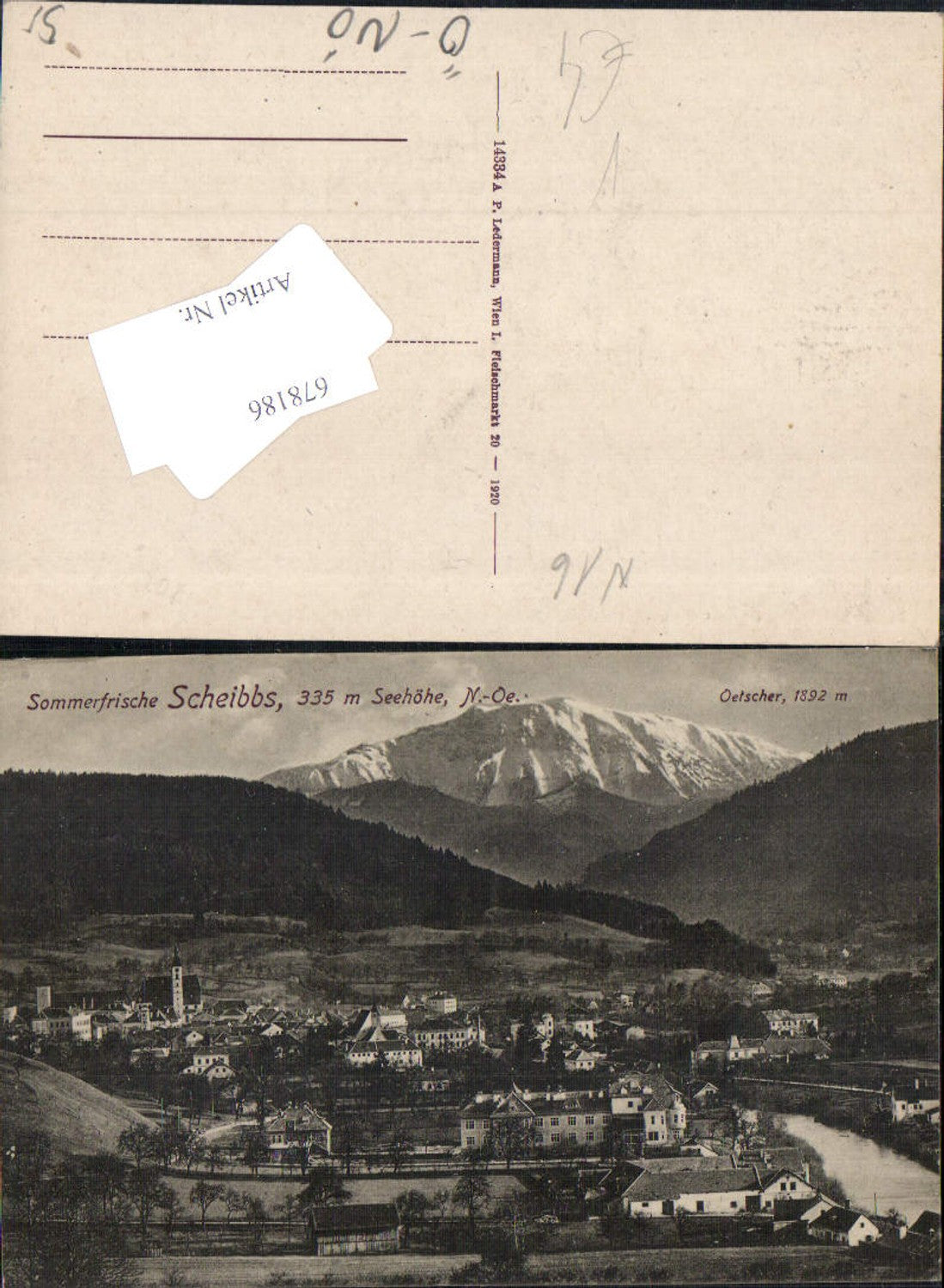 678186 Scheibbs pub Ledermann 14334A