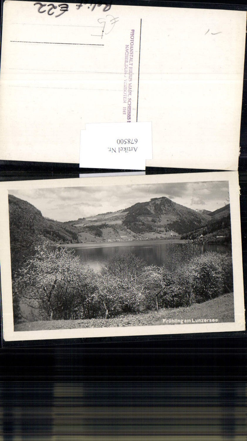678500 Frühling am Lunzersee b. Lunz am See
