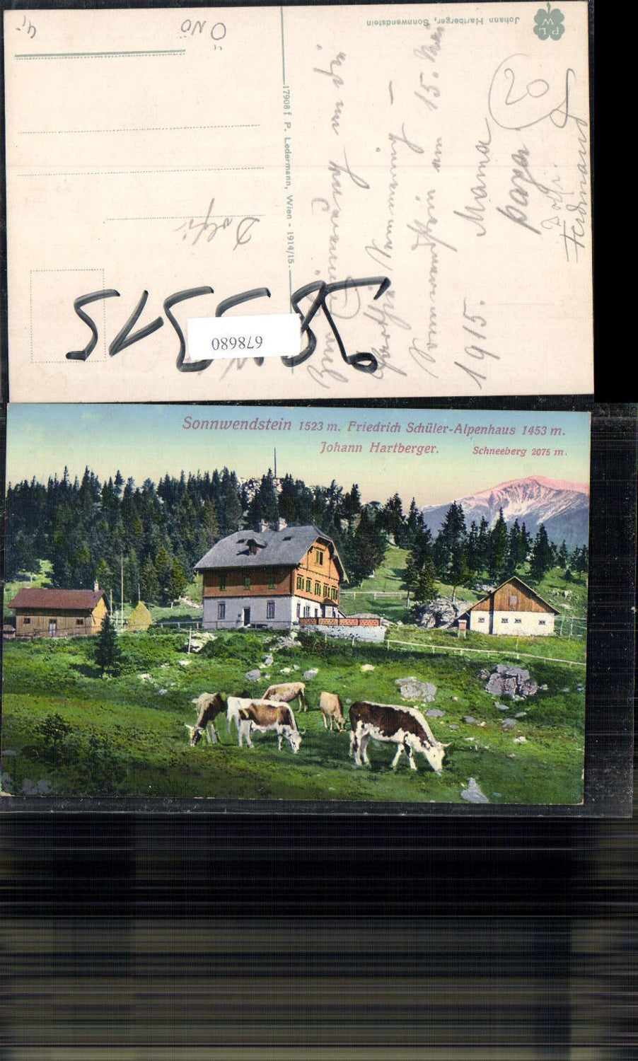678680 Sonnwendstein Friedrich Schüler Alpenhaus Kühe Kuh Maria Schutz Semmering