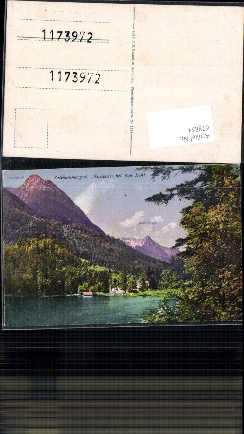 678854 Salzkammergut Nussensee b. Bad Ischl pub Brandt 1114