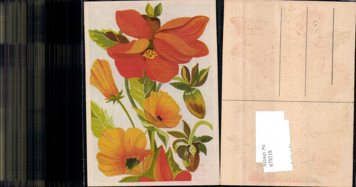 679218 Artist AK Flowers