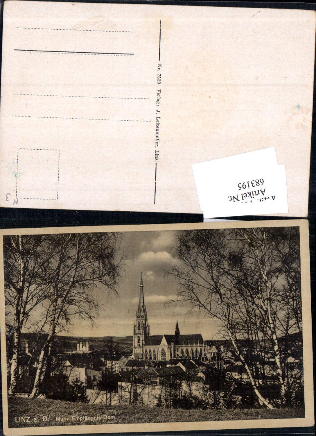 683195 Linz an der Donau Mariendom