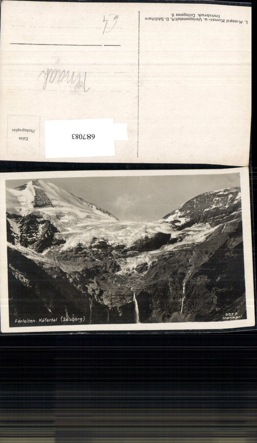 687083 Ferleiten Käfertal Bruck Fusch