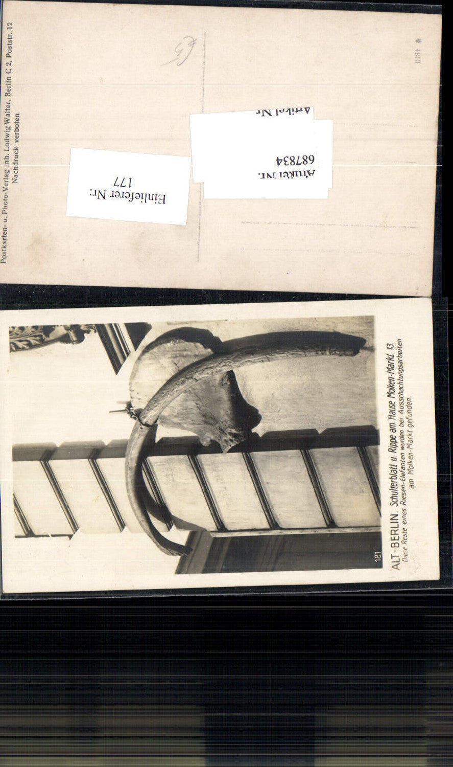 687834 Berlin Haus am Molken Markt Alt Berlin