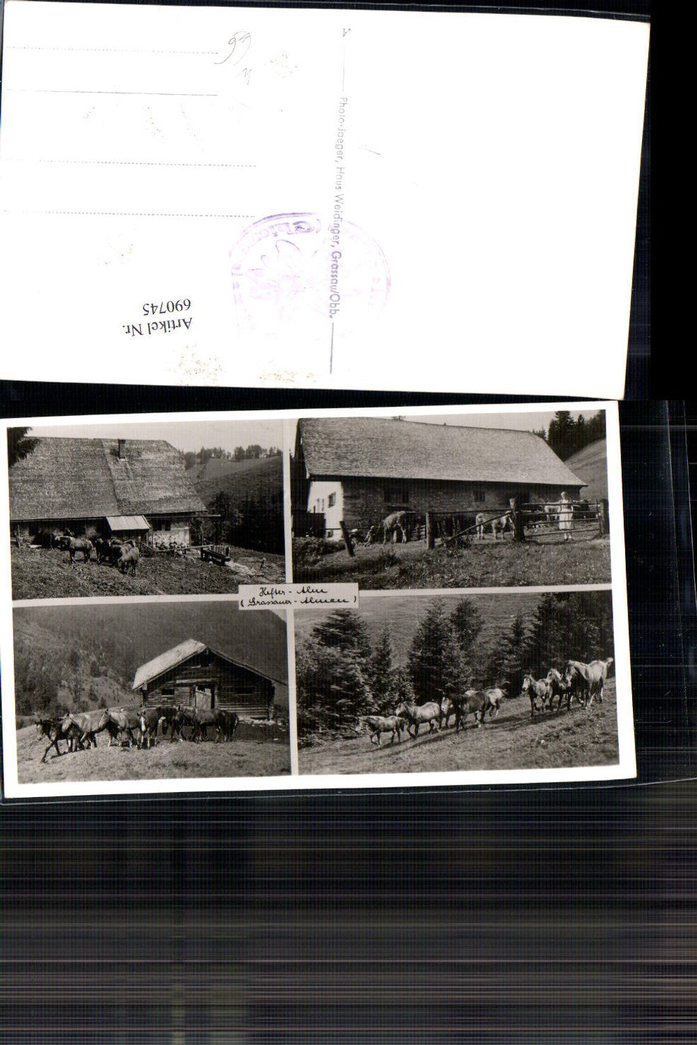 690745 Foto-AK Hefter Alm b. Grassau Chiemgau Chiemsee Grassauer Almen