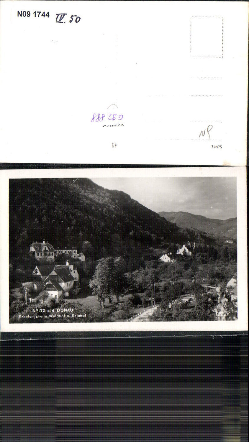 692888 Spitz an der Donau Wachau Waldhof Erlahof