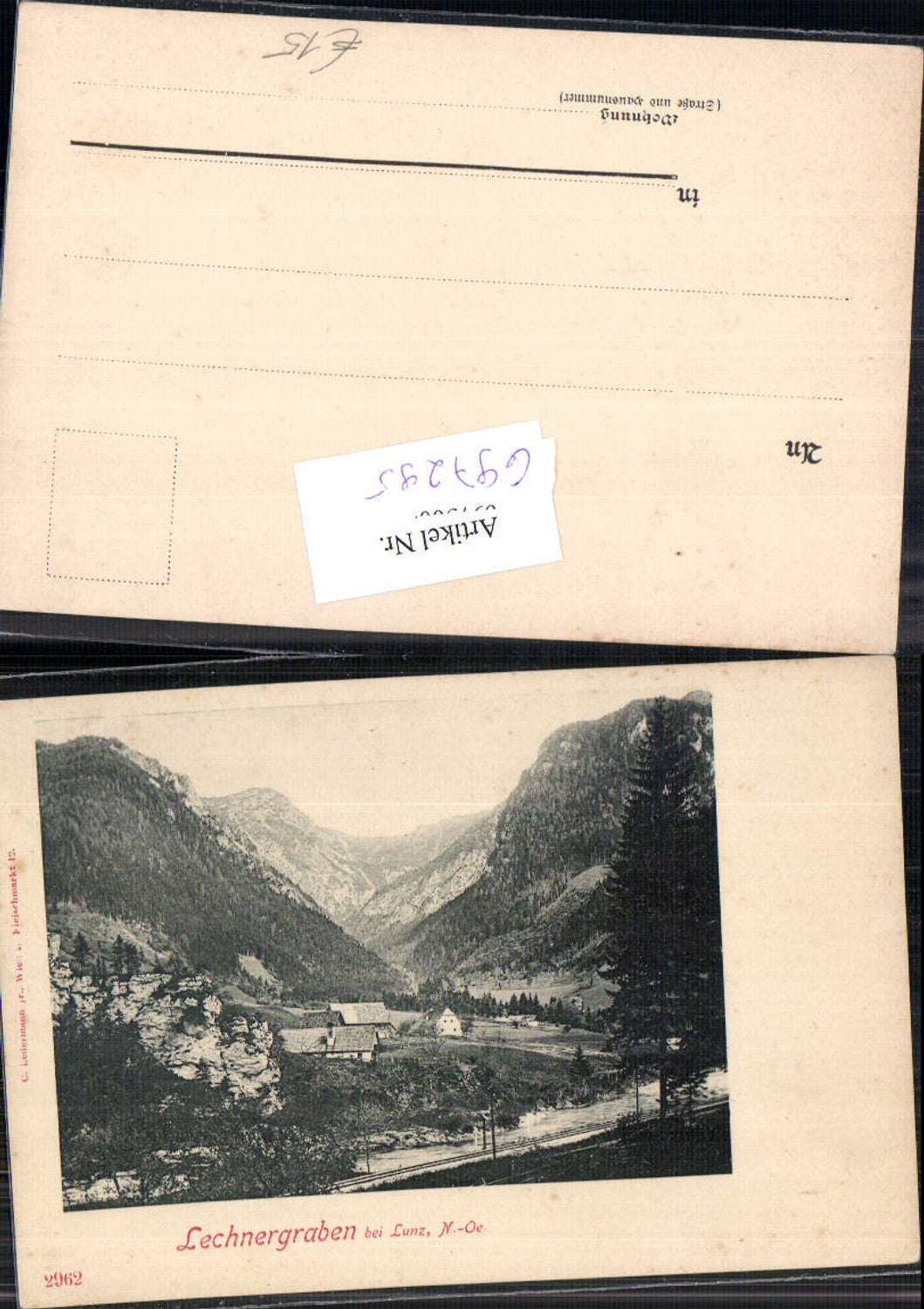 697295 Lechnergraben bei Lunz am See Lunzersee 1905 pub Ledermann 2962