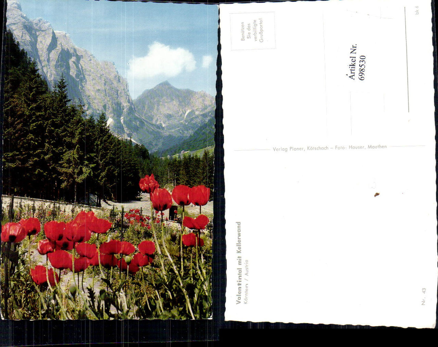 698530 Valentinalm bei Kötschach Mauthen Mohnblume