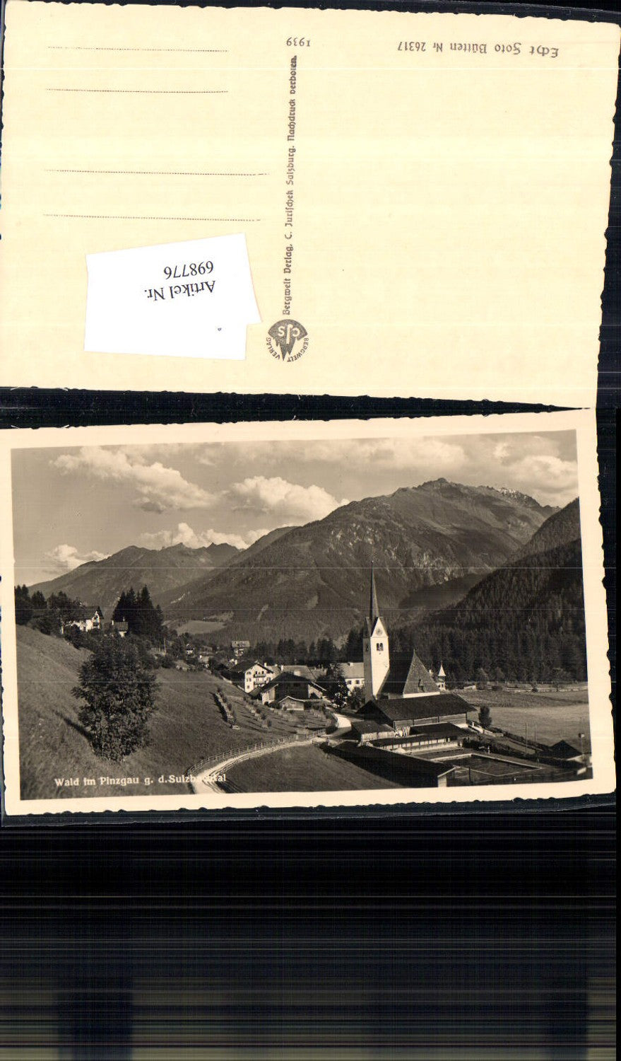 698776 Wald im Pinzgau Sulzbachtal