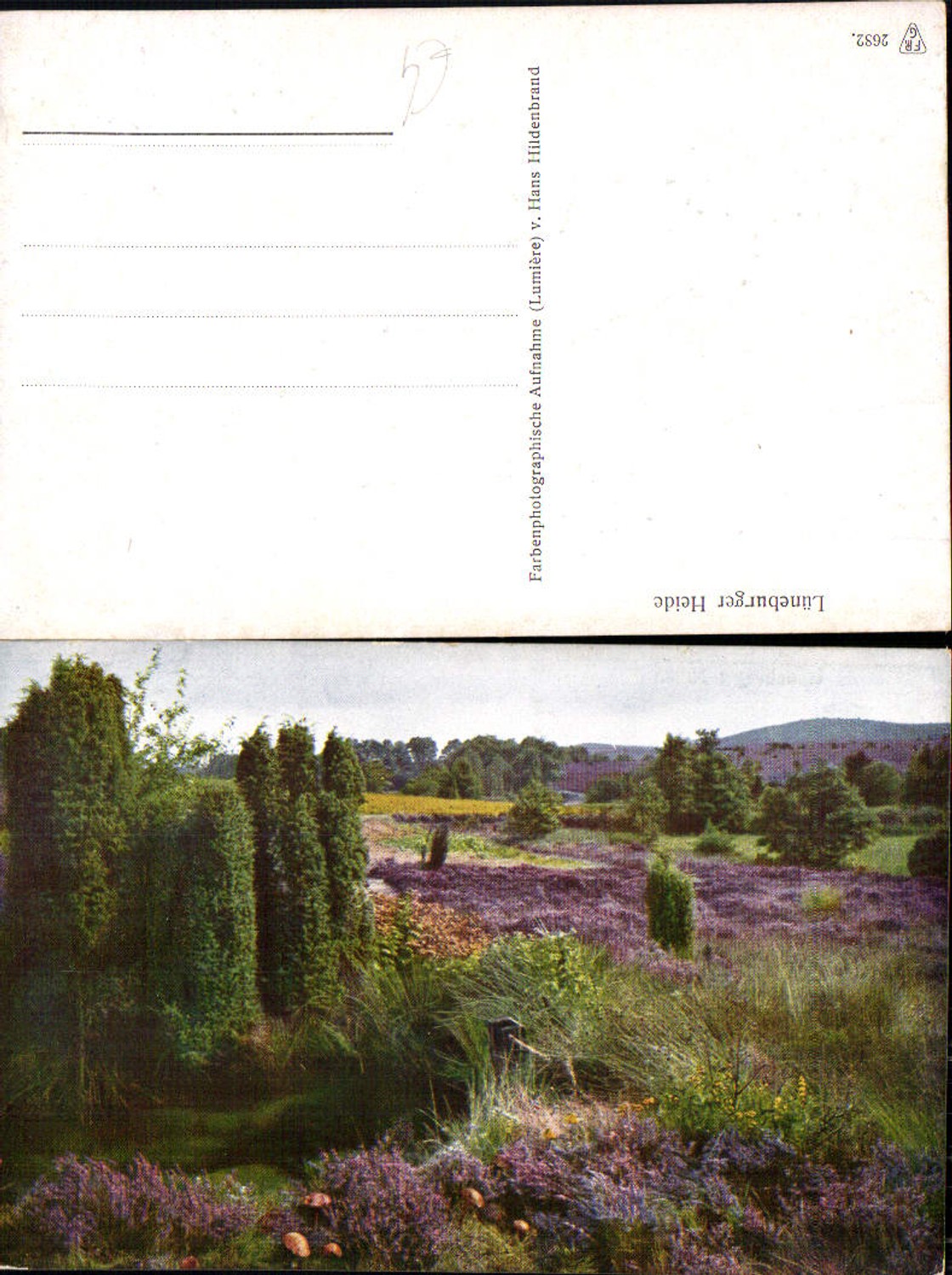 701287 Lüneburger Heide Lüneburg