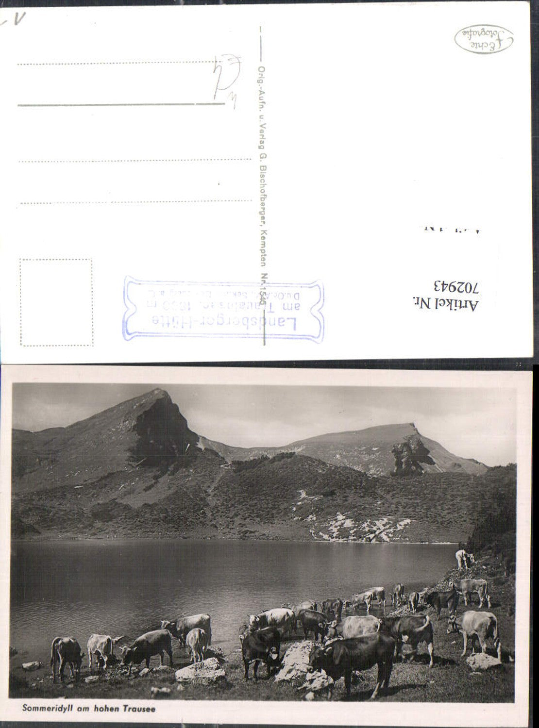 Landsberg am Lech Sommeridyll am hohen Trausee Kühe Stempel Landsberger Hütte