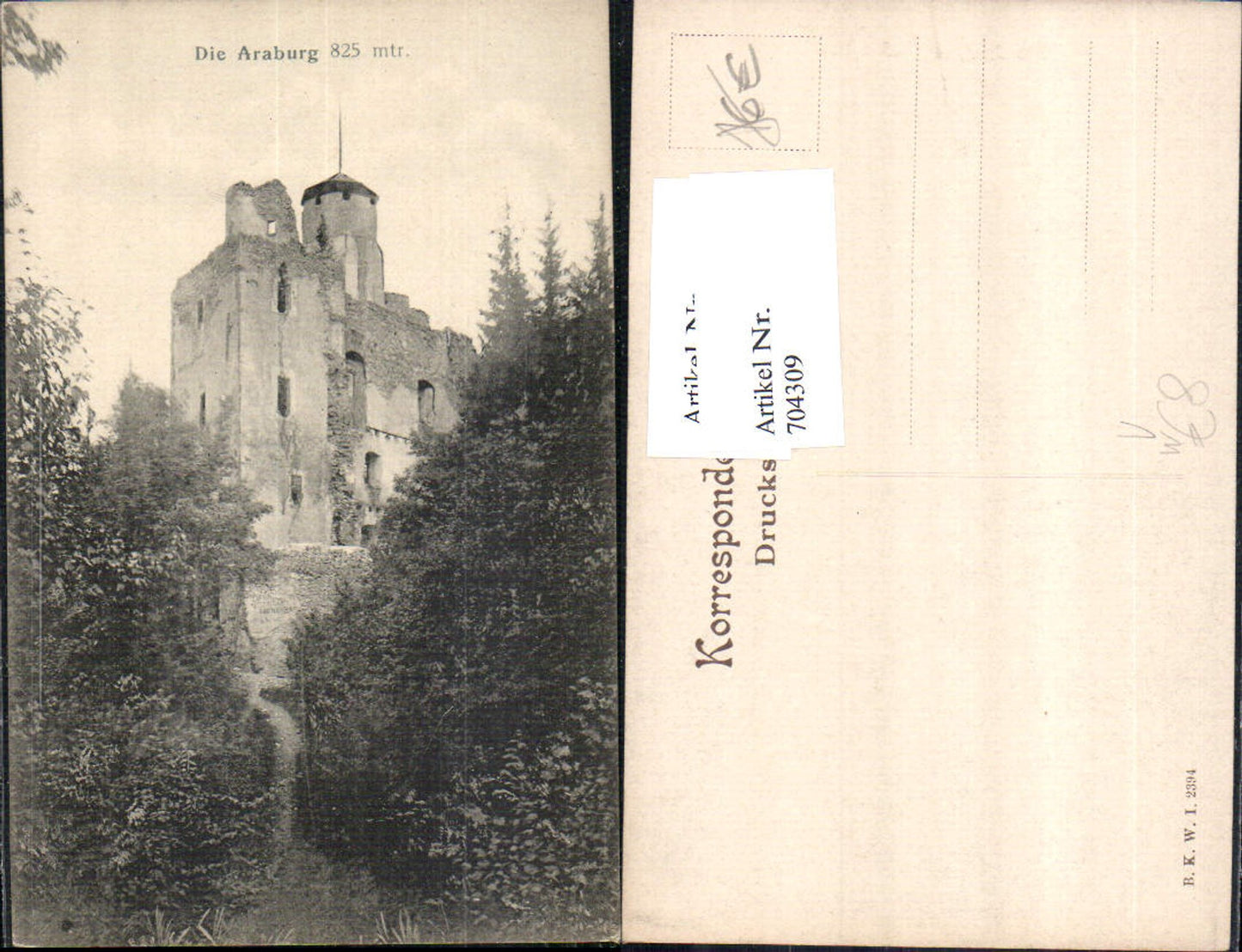 704309 Araburg bei Kaumberg Ruine pub B.K.W.I. 2394