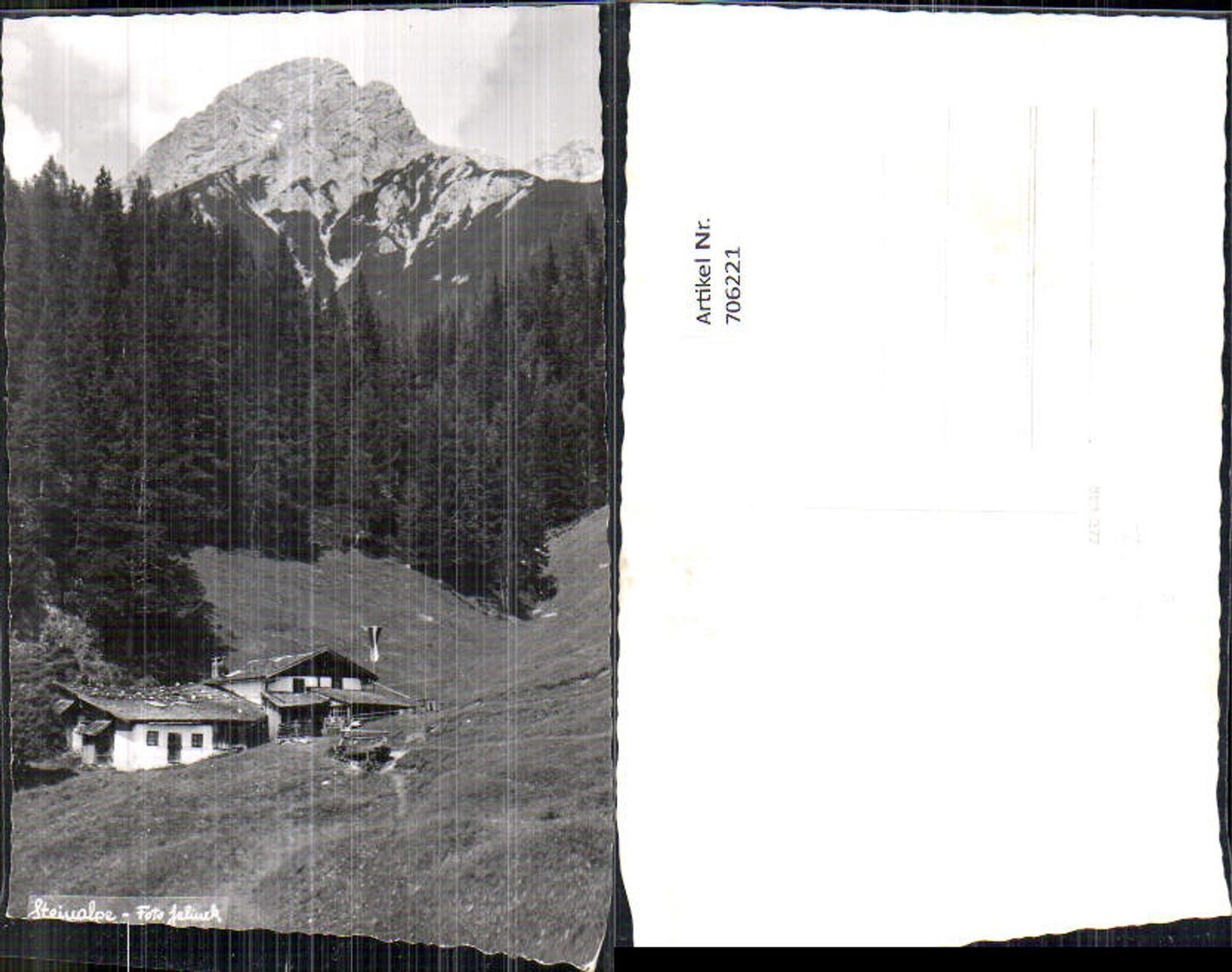 706221 Foto AK Steinalpe Steinalm b. Saalfelden a. Steinernen Meer pub Jelinek
