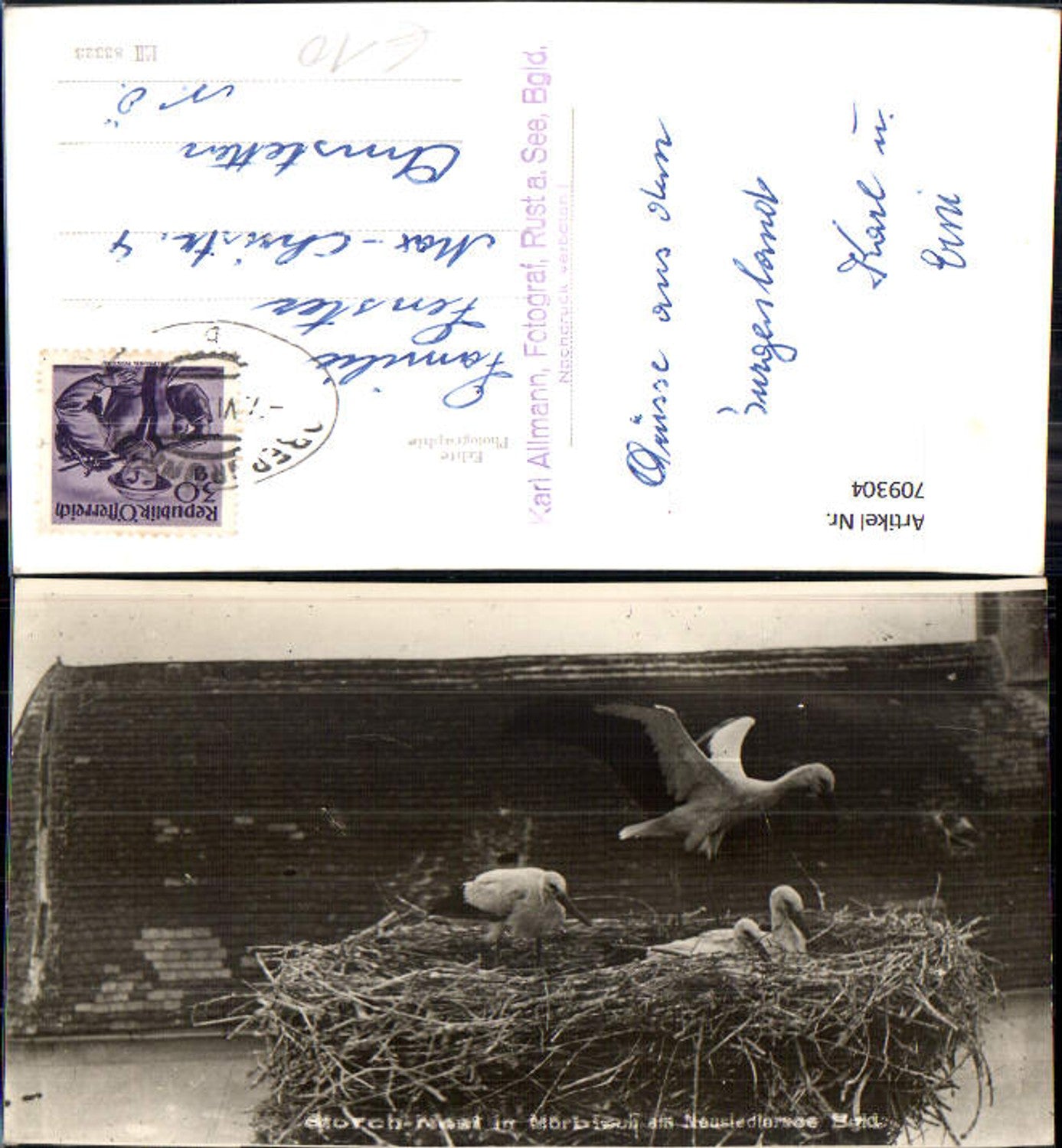 709304 Foto AK Mörbisch Neusiedlersee Storchennest Störche Storch