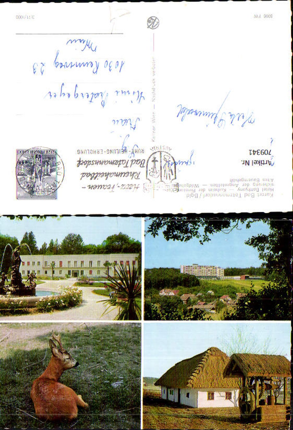 709341 Mehrbild AK Bad Tatzmannsdorf Hotel Battyany Kurheim Altes Bauerngehöft Wild Reh