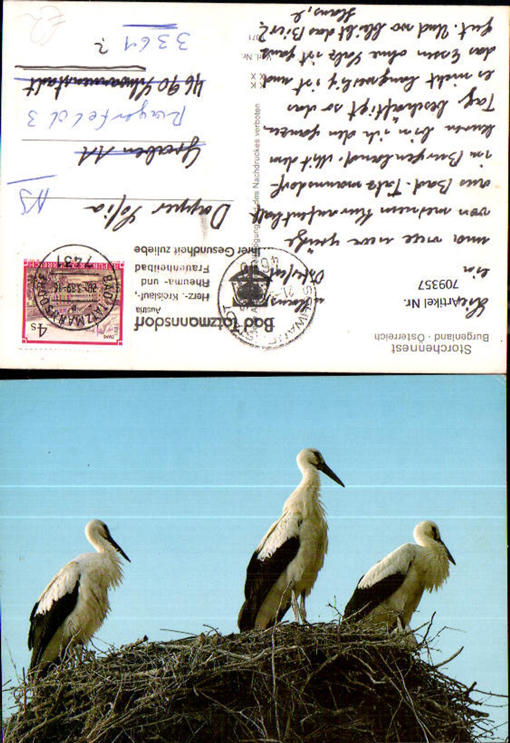 709357 Bad Tatzmannsdorf Storchennest Storch Störche
